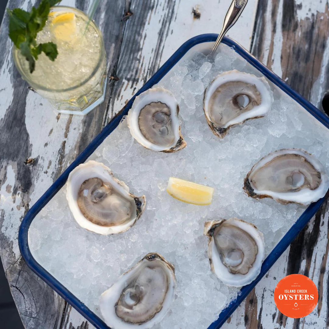 Make Your Own Oyster Platter on the Patio Pottery Class — 9/26 (Duxbury MA)