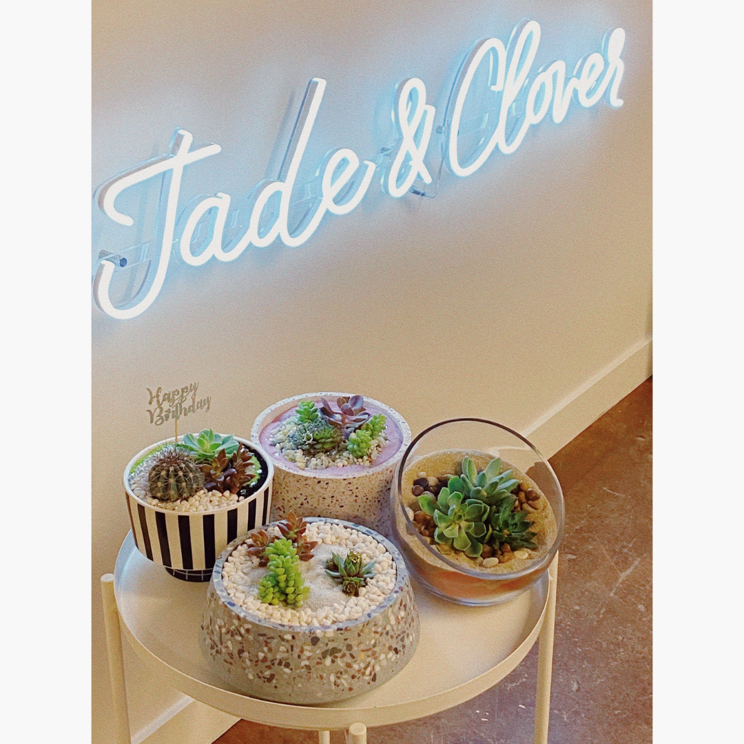 PWAP X Jade &amp; Clover: Make Your Own Plant Pot Pottery Class  — 6/16 (Phoenix AZ)