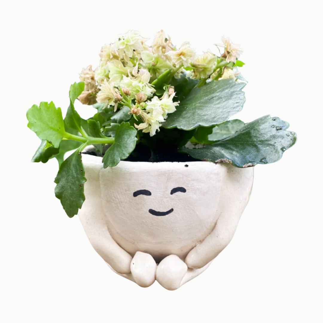 PWAP X Jade &amp; Clover: Make Your Own Plant Pot Pottery Class  — 6/16 (Phoenix AZ)