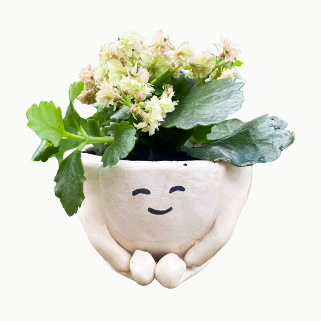 Make Your Own Plant Pot Pottery Class — 8/18 (Prospect KY)